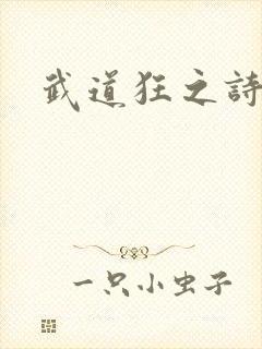 武道狂之诗