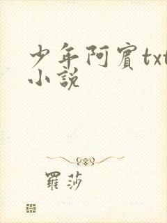 少年阿宾txt小说