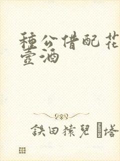 种公借配花间一壶酒