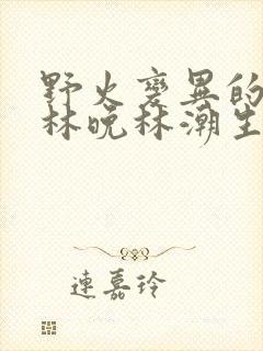 野火变异的父爱林晚林潮生