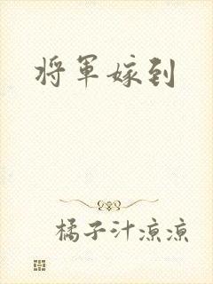 将军嫁到