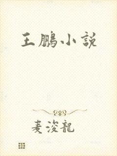 王鹏小说