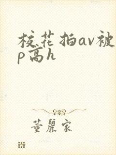 校花拍av被np高h