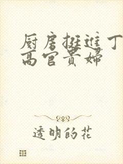 厨房挺进丁字裤高官贵妇