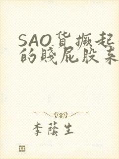 SAO货撅起你的贱屁股来