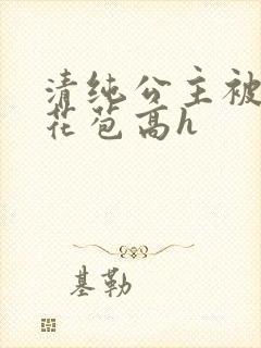 清纯公主被迫开花苞高h