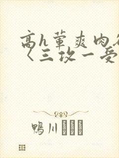 高h荤爽肉欲文〈三攻一受
