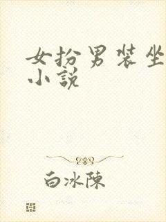 女扮男装坐江山小说