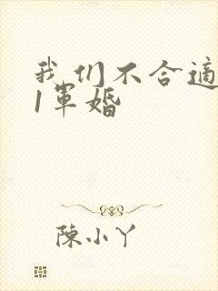 我们不合适1v1军婚