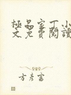 极品家丁小说全文免费阅读