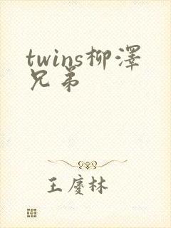 twins柳泽兄弟