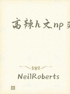 高辣h文np爽