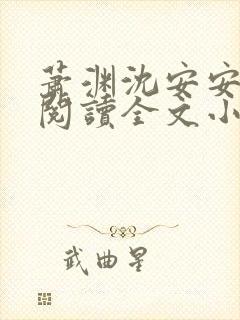 萧渊沈安安免费阅读全文小说