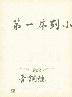 第一序列小说