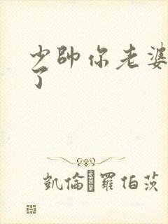 少帅你老婆又跑了