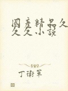 国产精品久久久久久小说