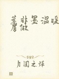 叶非墨温暖在厨房做