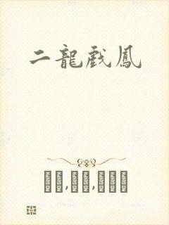 二龙戏凤