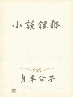 小说银狐