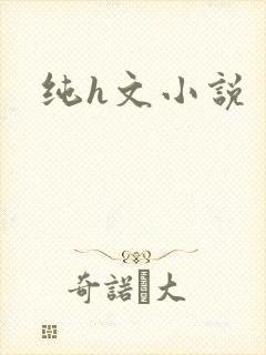 纯h文小说
