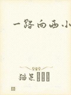 一路向西小说