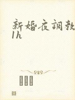 新婚夜调教1v1h