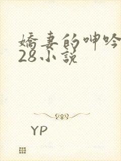 娇妻的呻吟1—28小说