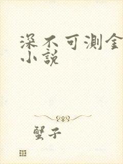 深不可测金银花小说
