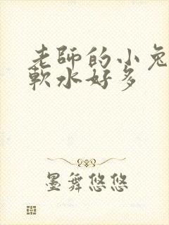 老师的小兔子好软水好多
