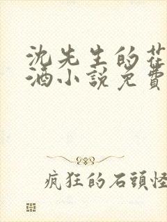 沈先生的花式调酒小说免费阅读