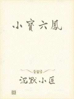 小宝六凤
