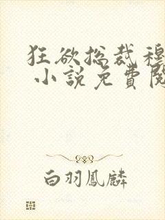 狂欲总裁穆非雪 小说免费阅读