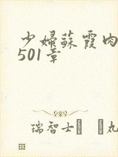 少妇苏霞肉欲第501章