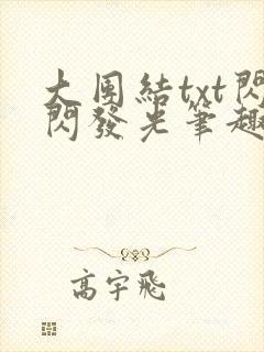 大团结txt闪闪发光笔趣阁