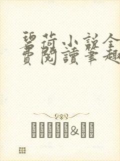 碧荷小说全文免费阅读笔趣阁