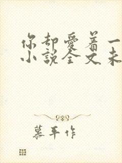 你却爱着一个他小说全文未删减免费