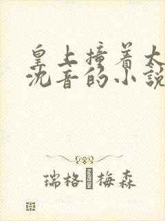 皇上撞着太子妃沈音的小说叫什么