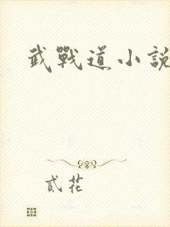 武战道小说