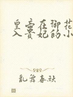 皇帝在御花园进入贵妃的小说