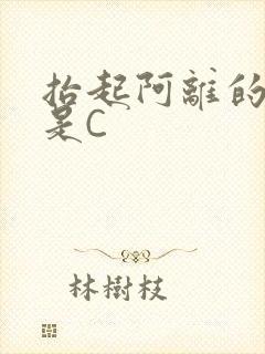 抬起阿离的腿就是C