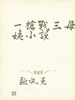 一枪战三母2雪姨小说