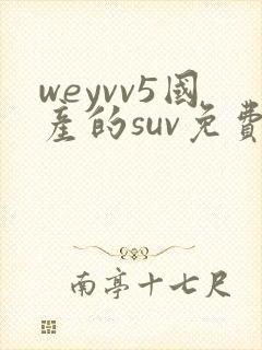 weyvv5国产的suv免费