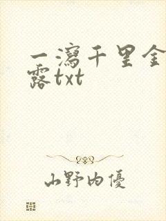 一泻千里金银花露txt