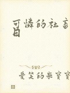 可怜的社畜东度日