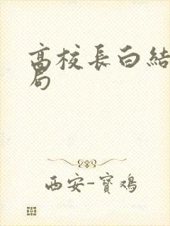 高校长白结大结局