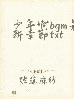 少年啊bgm最新章节txt