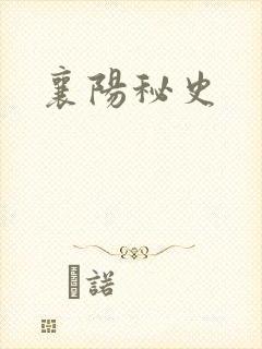 襄阳秘史