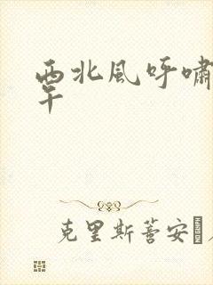 西北风呼啸的中午