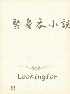 紧身衣小说