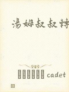 汤姆叔叔转接口